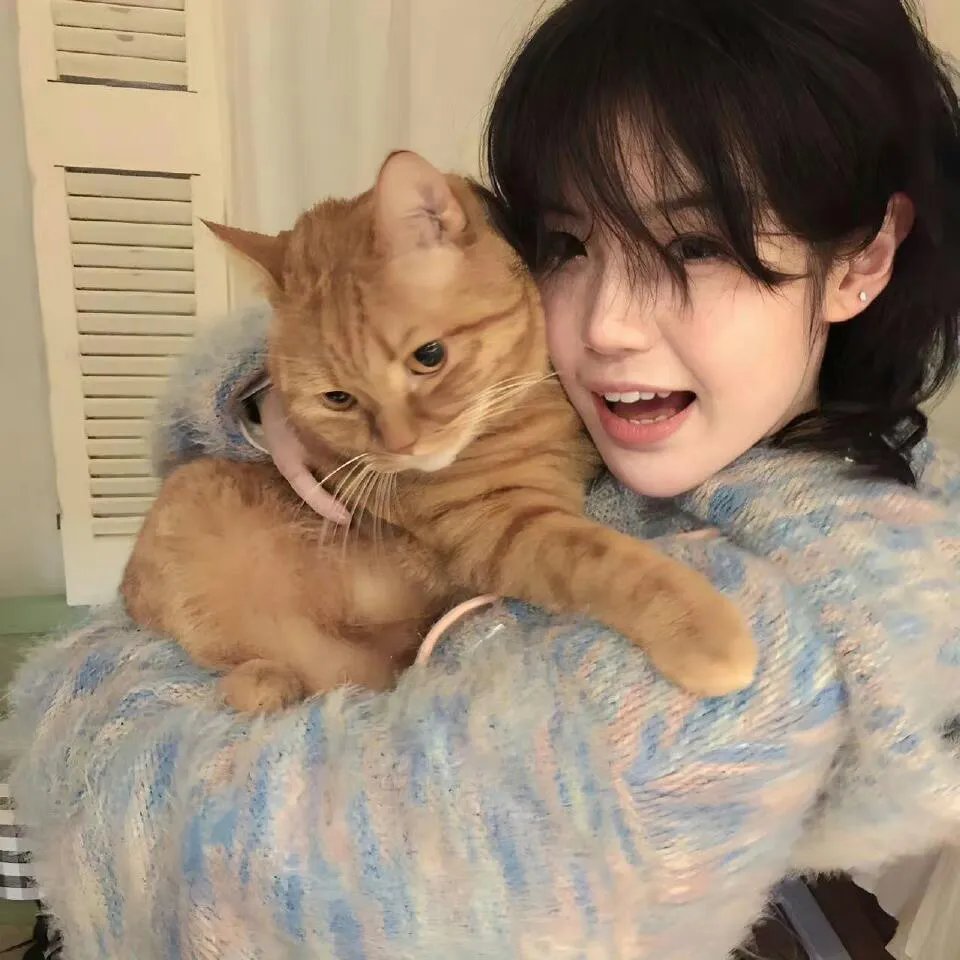猫狗大战3：爪爪集结！