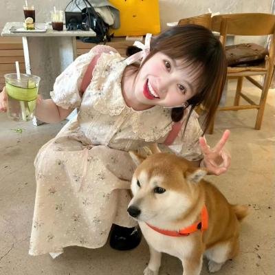 虎鹤双行